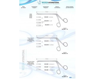 Laminectomy Rongeurs 